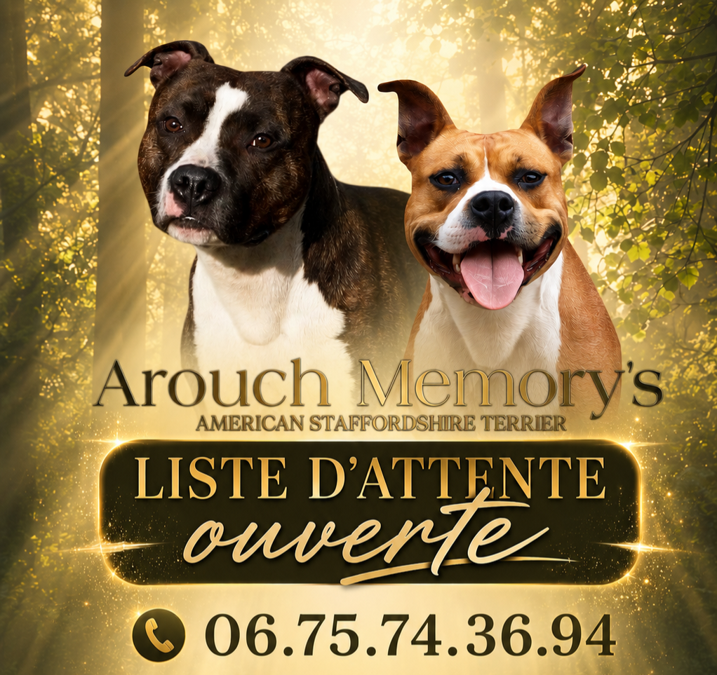 Saillie réalisé pour notre Sia'choux